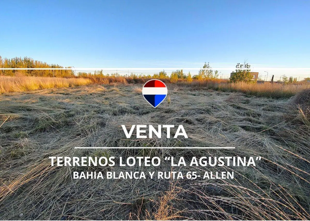 VENTA DE TERRENOS EN LOTEO "LA AGUSTINA" DE ALLEN 4