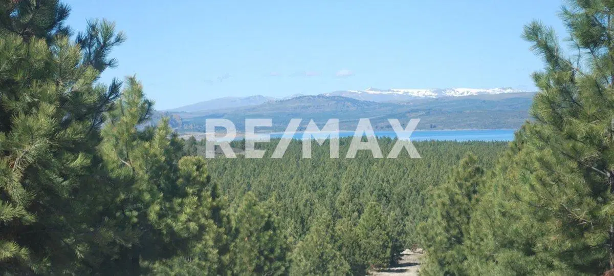 TERRENO EN VENTA ALTOS DE PEHUENIA 5