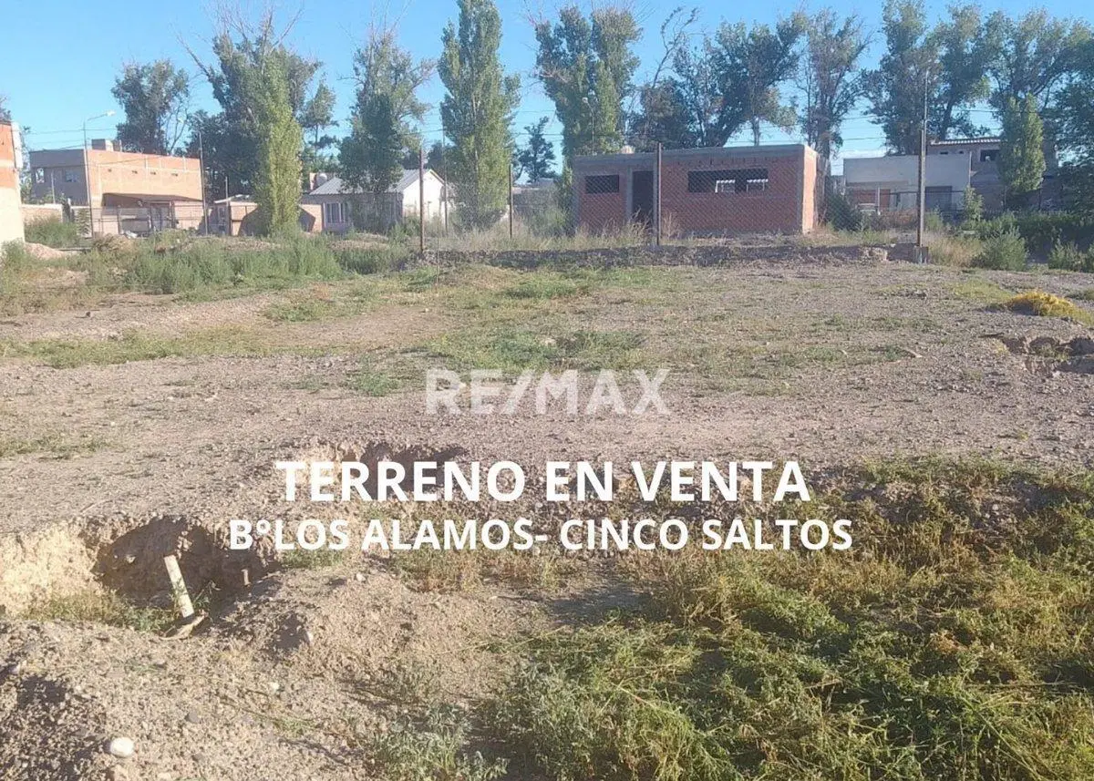 TERRENO EN VENTA - B° LOS ALAMOS - CINCO SALTOS 4