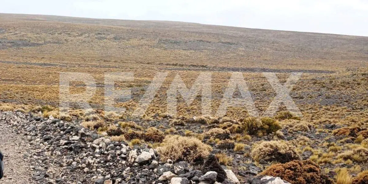 VENTA CAMPO - VALCHETA - RIO NEGRO 2