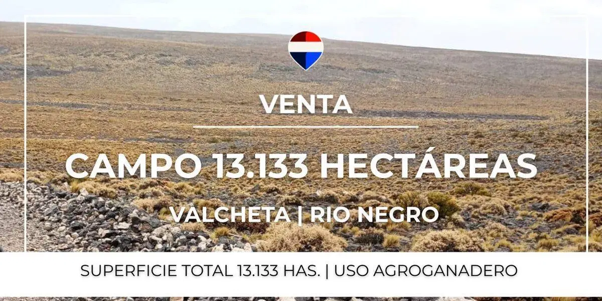 VENTA CAMPO - VALCHETA - RIO NEGRO 5
