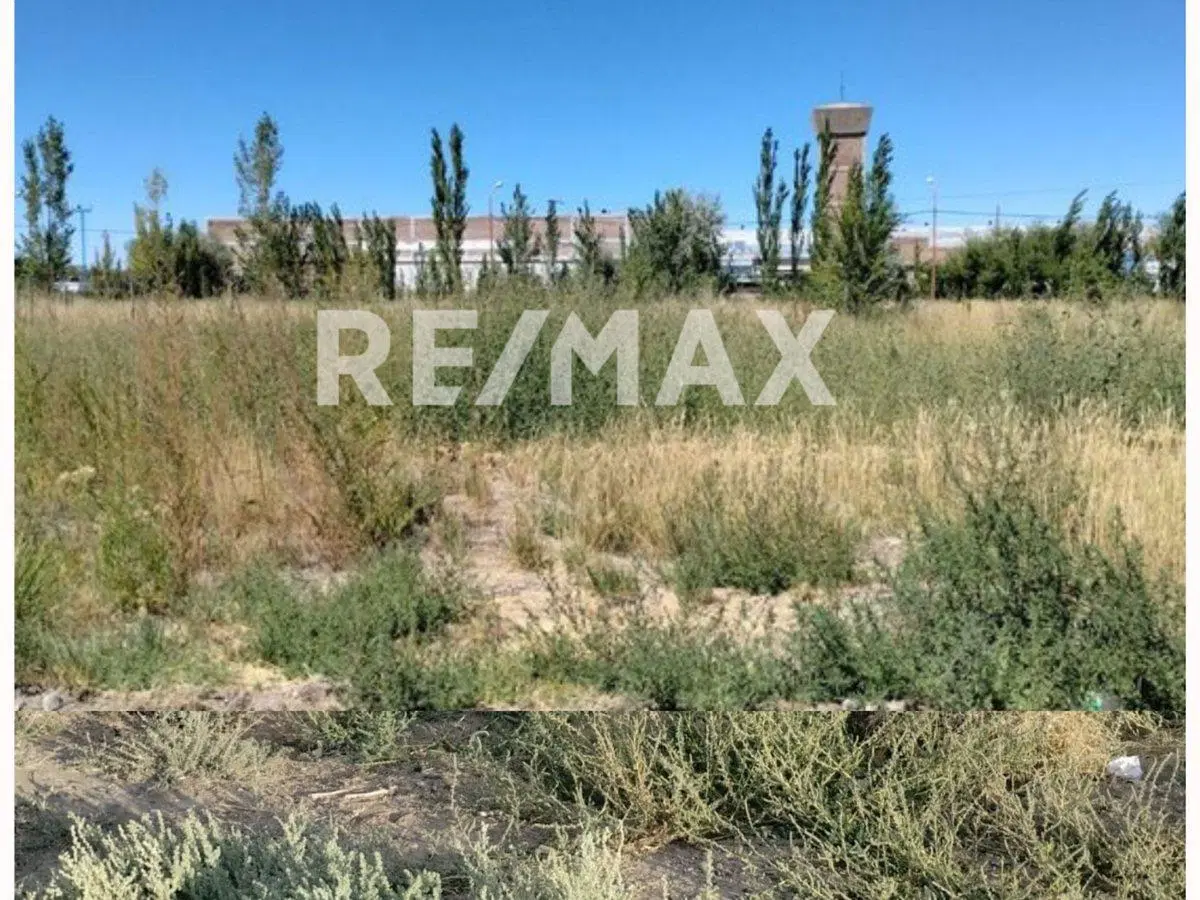 VENTA LOTES DON FEDERICO ALLEN 4