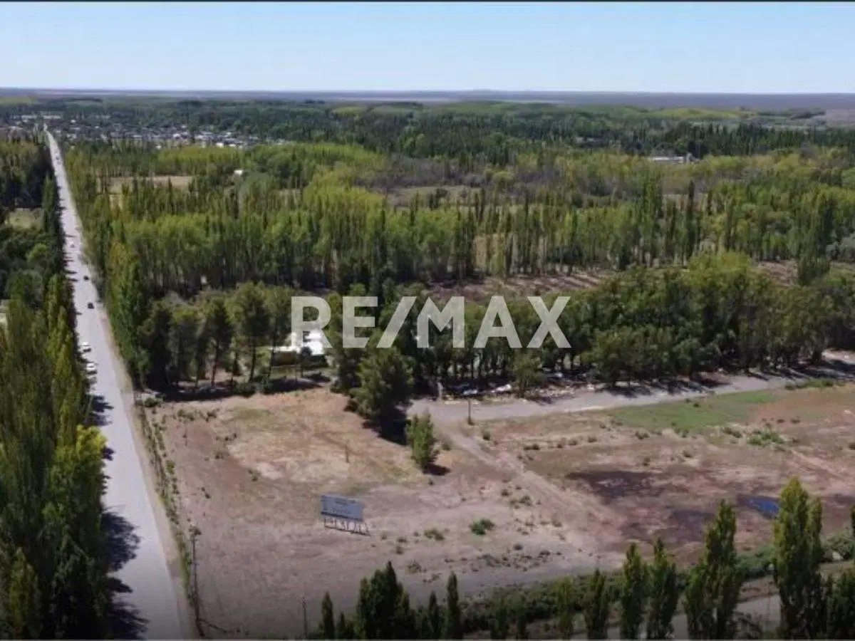 Venta Terreno Comercial Pozo, Loteo El Pinar, Cipo 5