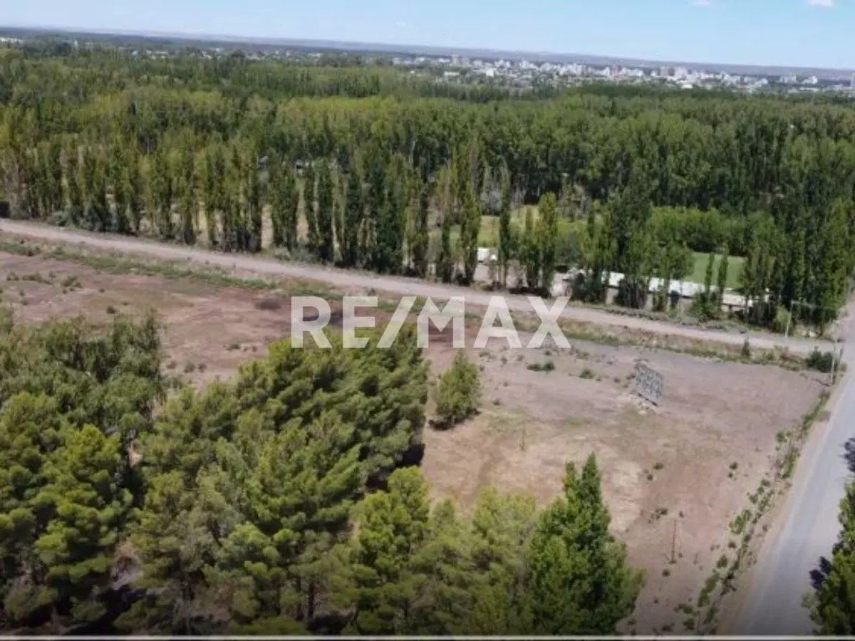 Venta Terreno en Pozo, Loteo El Pinar, Cipolletti 4