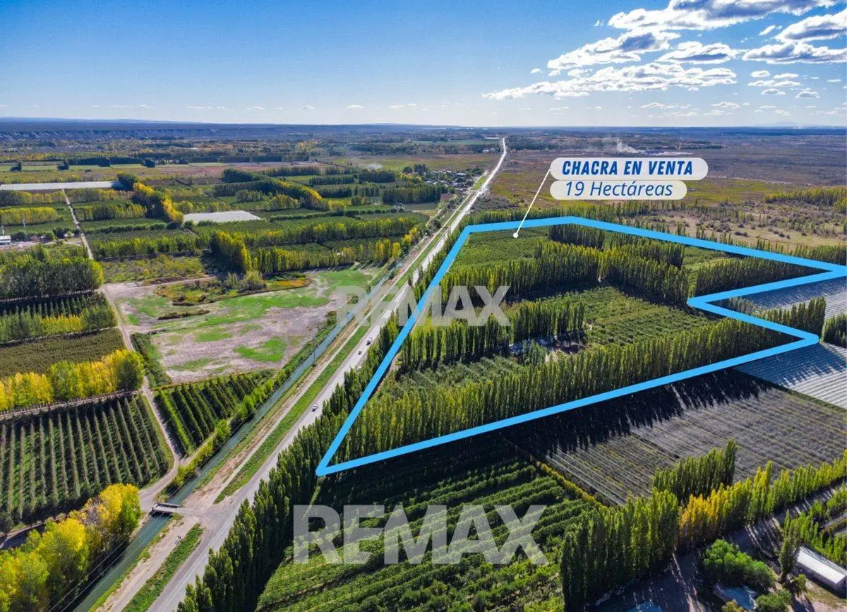 VENTA CHACRA 19 HECT FRENTE RUTA VILLA MANZANO 3