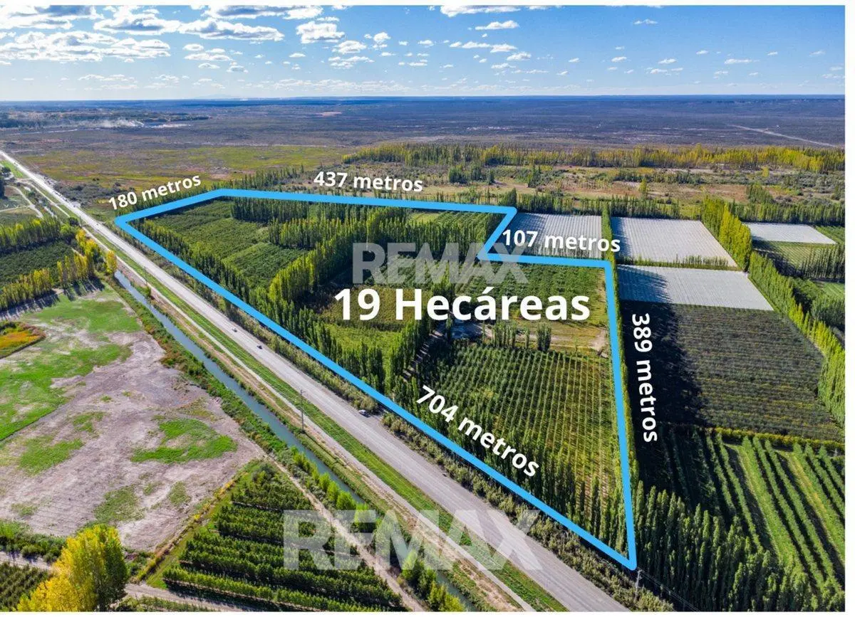 VENTA CHACRA 19 HECT FRENTE RUTA VILLA MANZANO 5