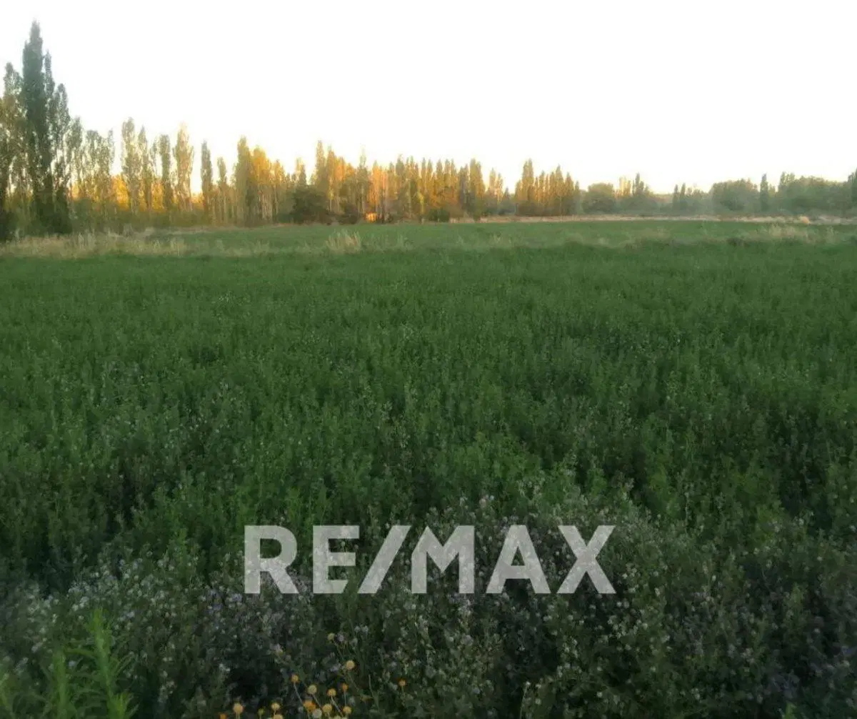 ALQUILER HA IDEAL EMPRESAS 2