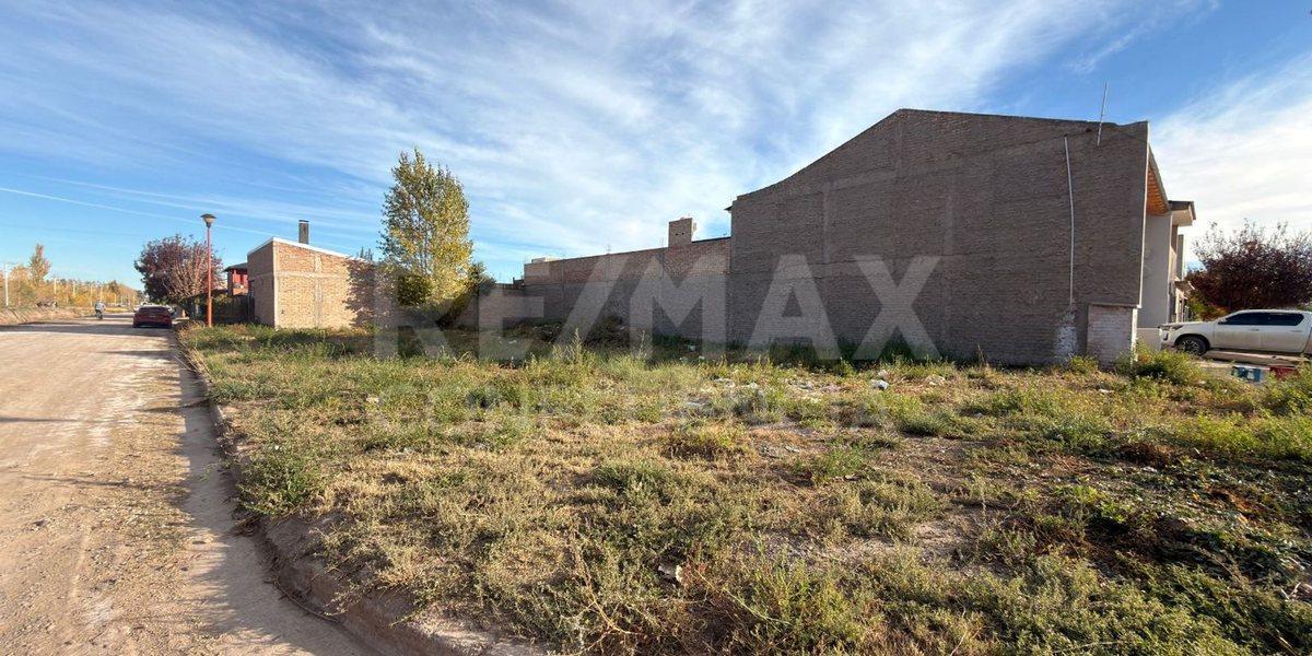 VENTA LOTE FERNANDEZ ORO