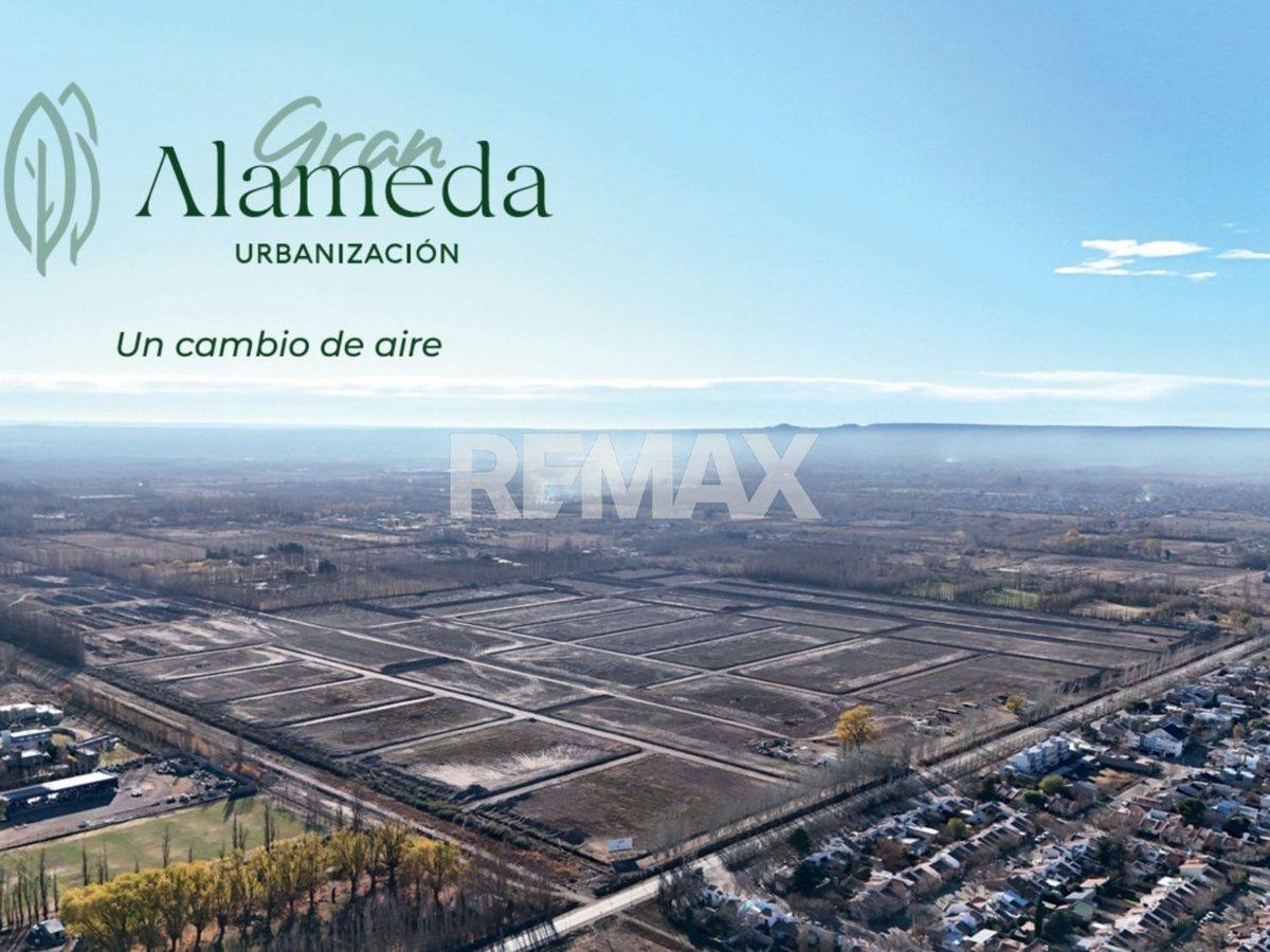 Foto de VENTA | LOTE COMERCIAL | GRAN ALAMEDA | CIPOLLETTI, imagen 4