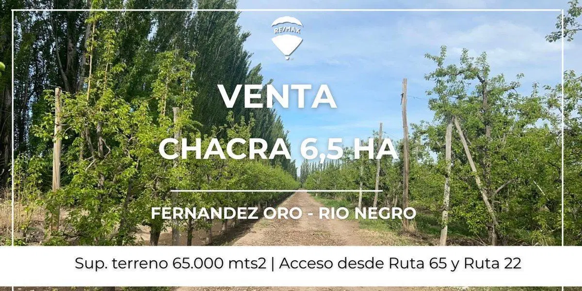 VENTA CHACRA 6,5 HAS FERNANDEZ ORO 2