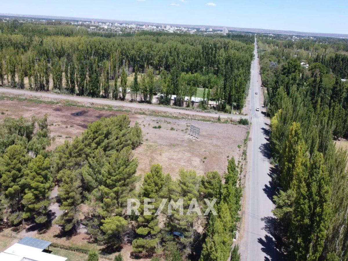 VENTA TERRENO INVERSIÓN CIPOLLETTI