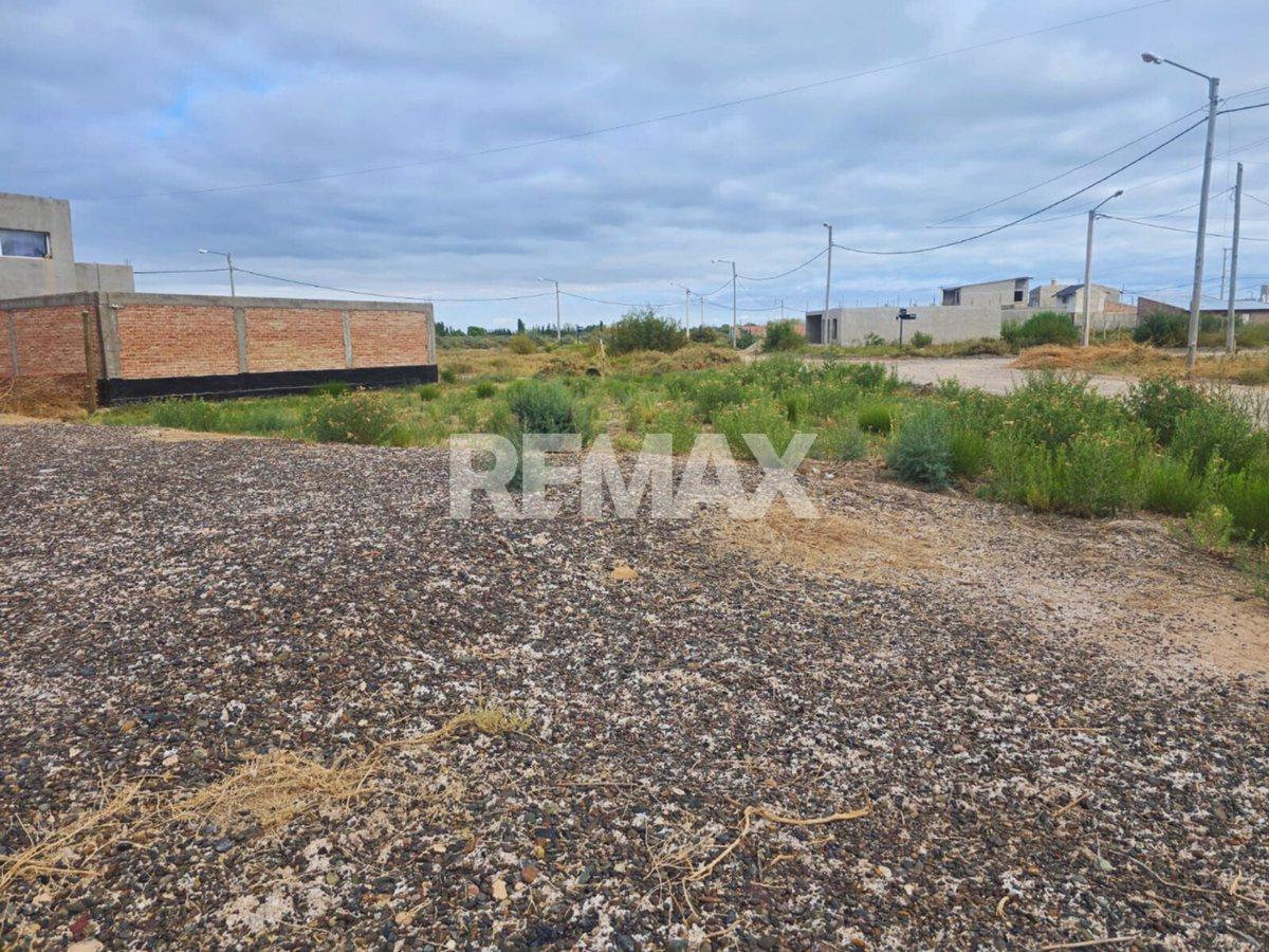 VENTA LOTE EN DISTRITO VECINAL NORESTE CIPOLLETTI