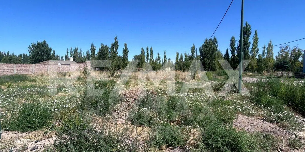 VENTA LOTE BARRIO SANTA CLARA - FDEZ ORO 4