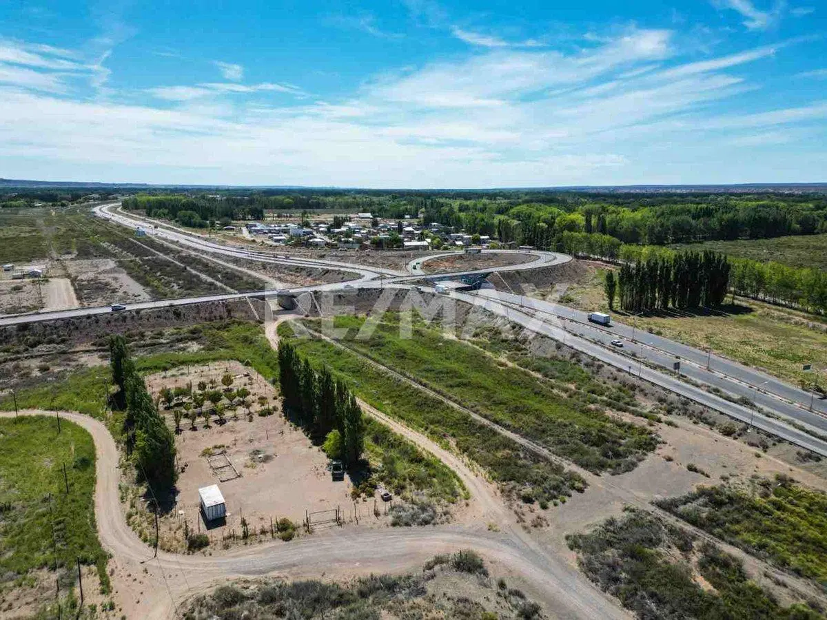 VENTA CHACRA 20 HECTAREAS CHINA MUERTA, PLOTTIER 4