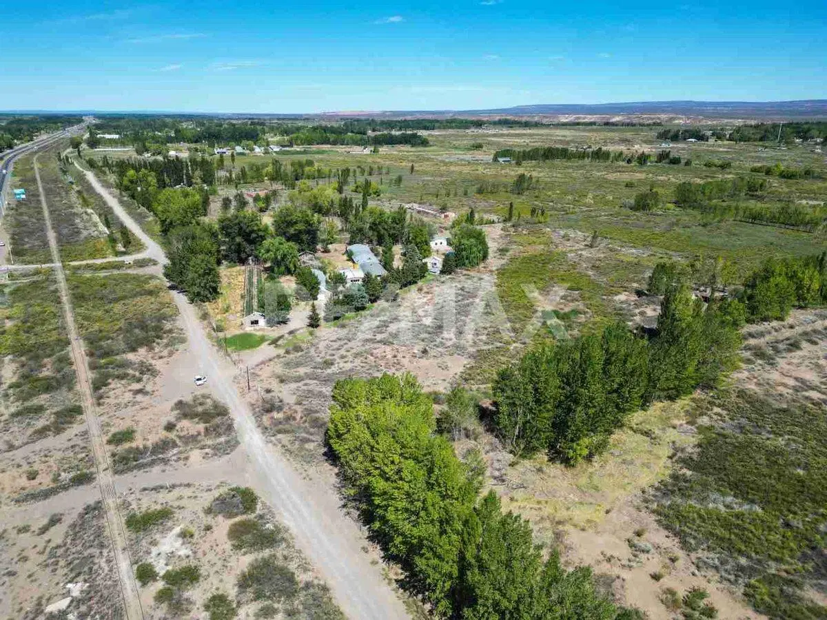 VENTA CHACRA 20 HECTAREAS CHINA MUERTA, PLOTTIER 2