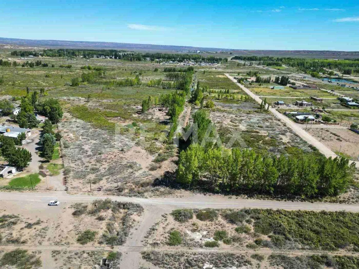 VENTA CHACRA 20 HECTAREAS CHINA MUERTA, PLOTTIER 5