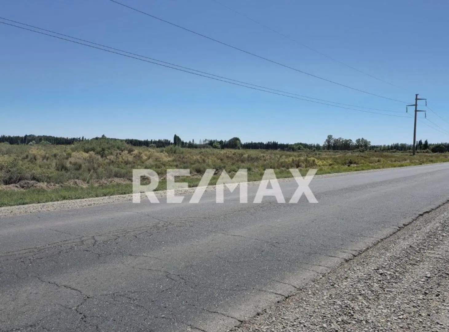 VENTA HECTAREAS CAMPO GRANDE 5