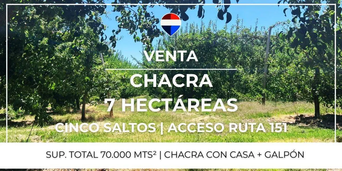 VENTA CHACRA 7 HAS - CINCO SALTOS 3