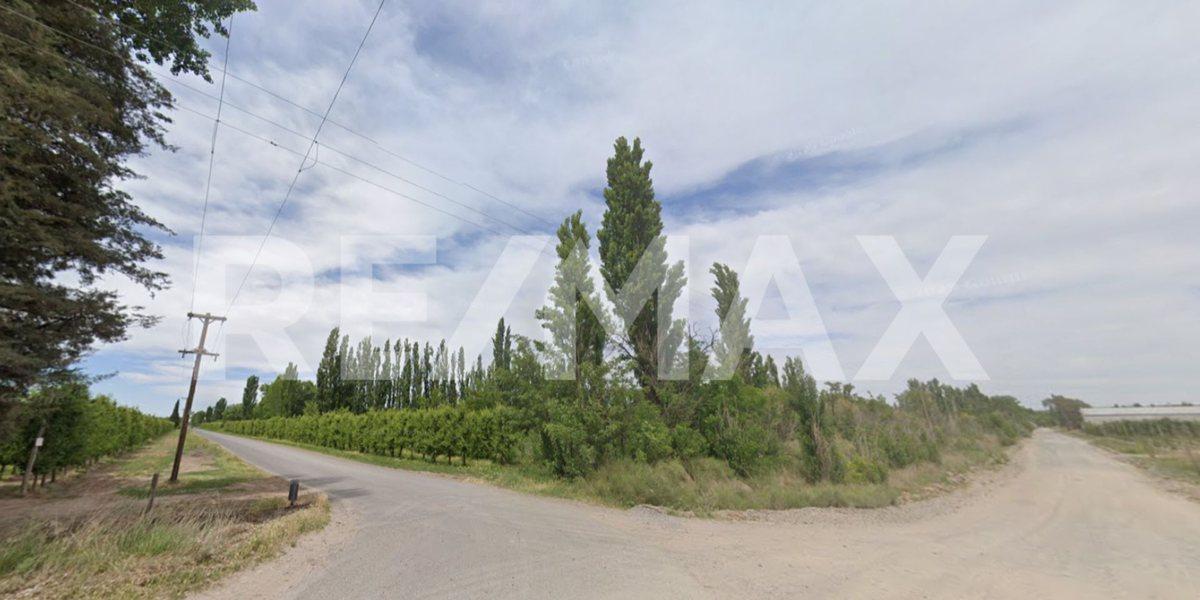Foto de VENTA CHACRA 18,56 HAS. - ALLEN, RIO NEGRO, imagen 1