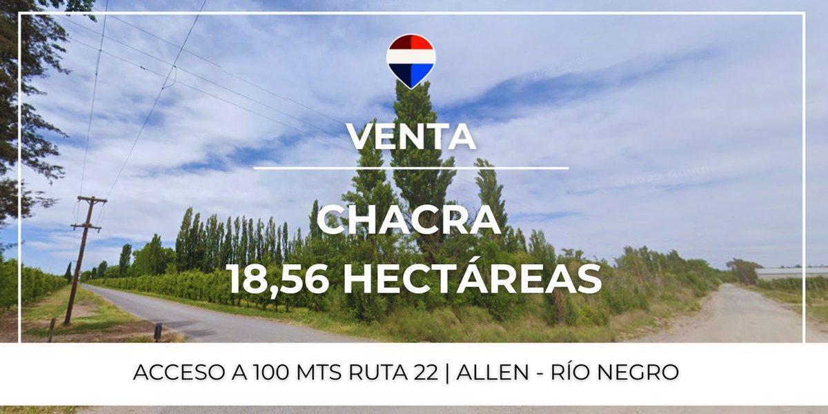 Foto de VENTA CHACRA 18,56 HAS. - ALLEN, RIO NEGRO, imagen 4