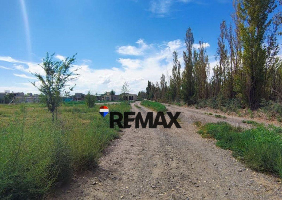 Foto de VENTA LOTE EN PIEDRAS BLANCAS - FERNANDEZ ORO, imagen 4