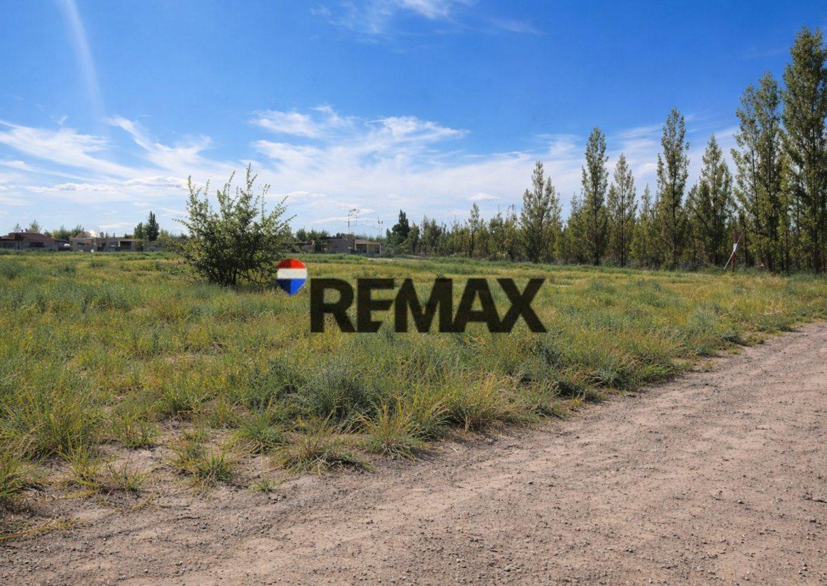 Foto de VENTA LOTE EN PIEDRAS BLANCAS - FERNANDEZ ORO, imagen 2