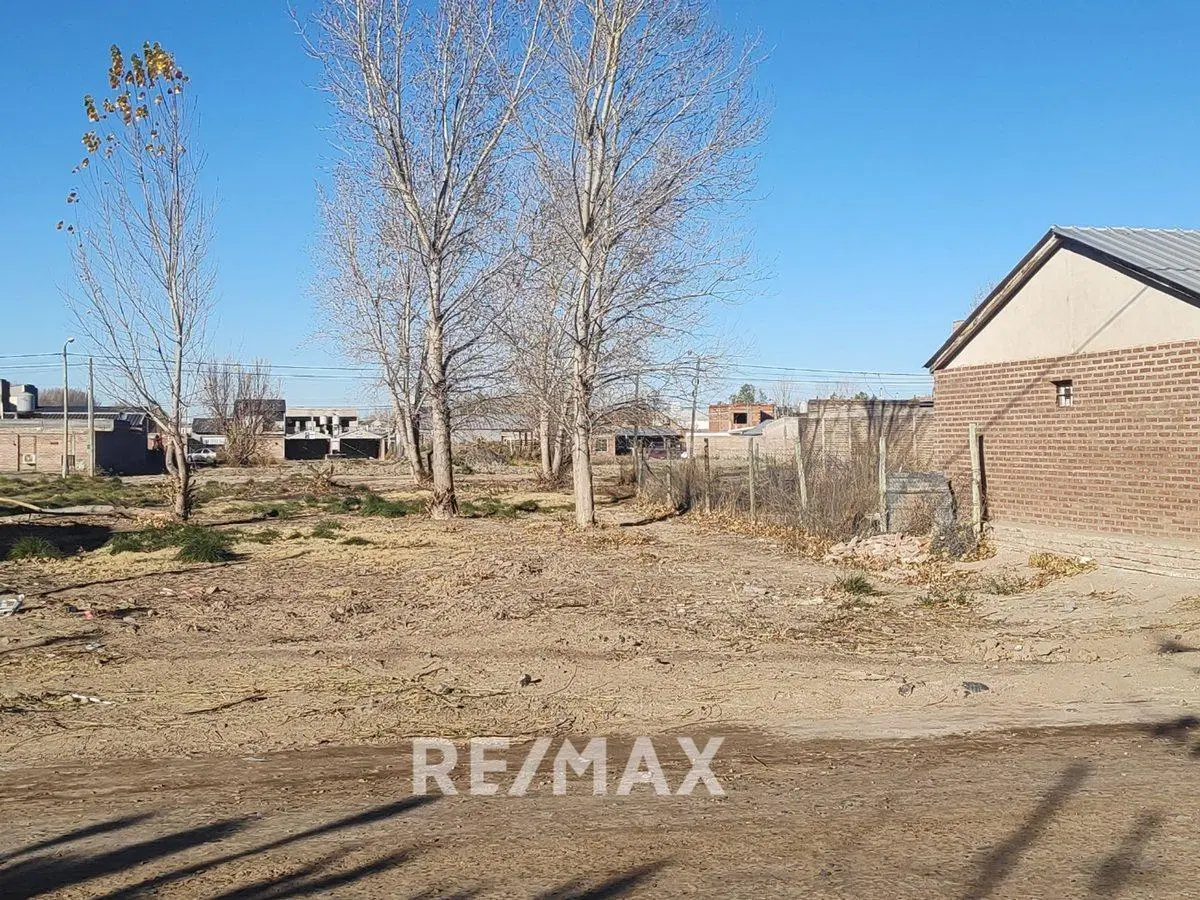 VENTA TERRENO LOTEO ASPA SAN PATRICIO DEL CHAÑAR 2