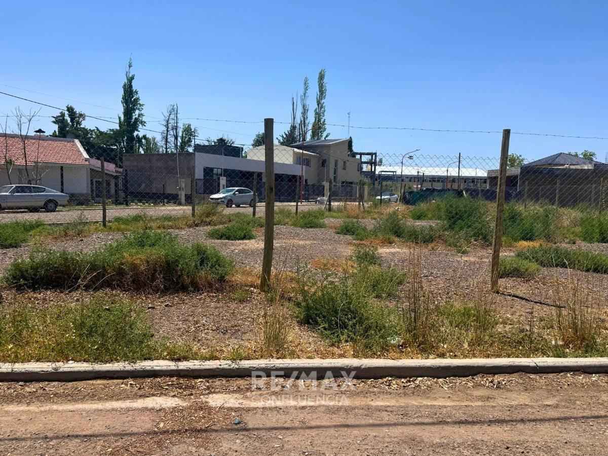 Foto de VENTA TERRENO Bº LOS TORDOS CIPOLLETTI, imagen 2