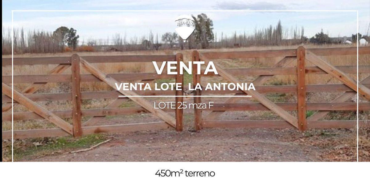 Foto de VENTA TERRENO LA ANTONIA FDEZ ORO., imagen 1