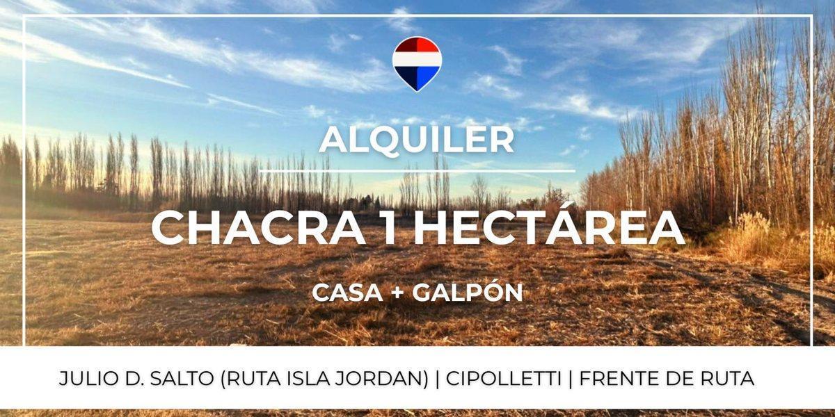 Foto de ALQUILER CHACRA 1 HA. + CASA + GALPON - CIPOLLETTI, imagen 3