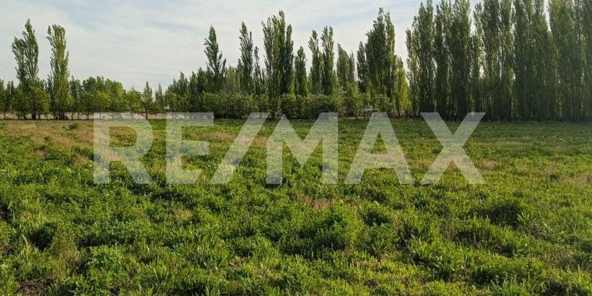 Foto de VENTA CHACRA 6,5 HAS FERNANDEZ ORO, imagen 3