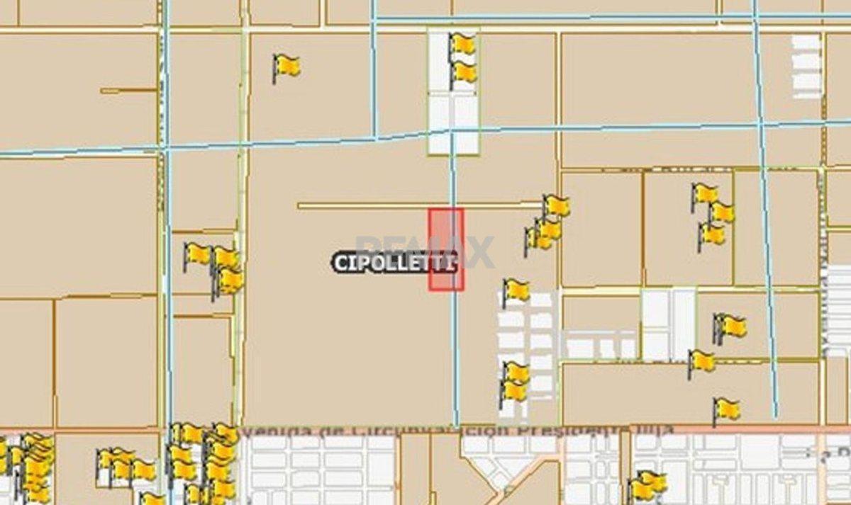 Foto de CHACRA EN VENTA DE 2.7 HAS APTO LOTEO - CIPOLLETTI, imagen 3