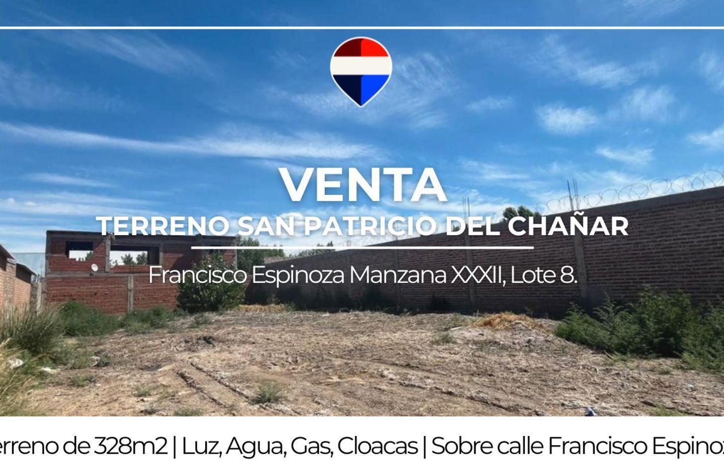 Foto de VENTA TERRENO EN SAN PATRICIO DEL CHAÑAR, imagen 2