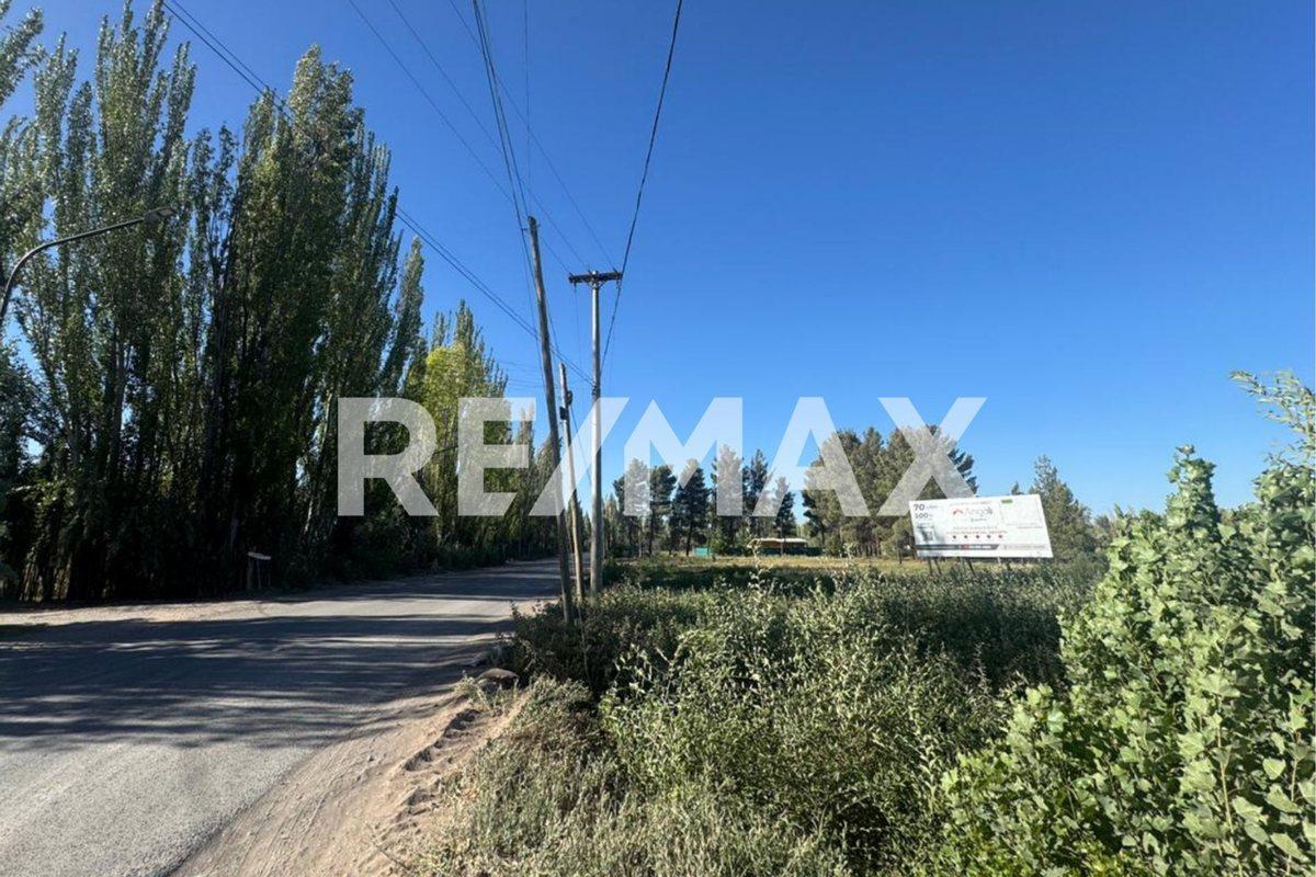 Foto de VENTA LOTE COMERCIAL EN POZO I LOTEO EL PINAR, imagen 3