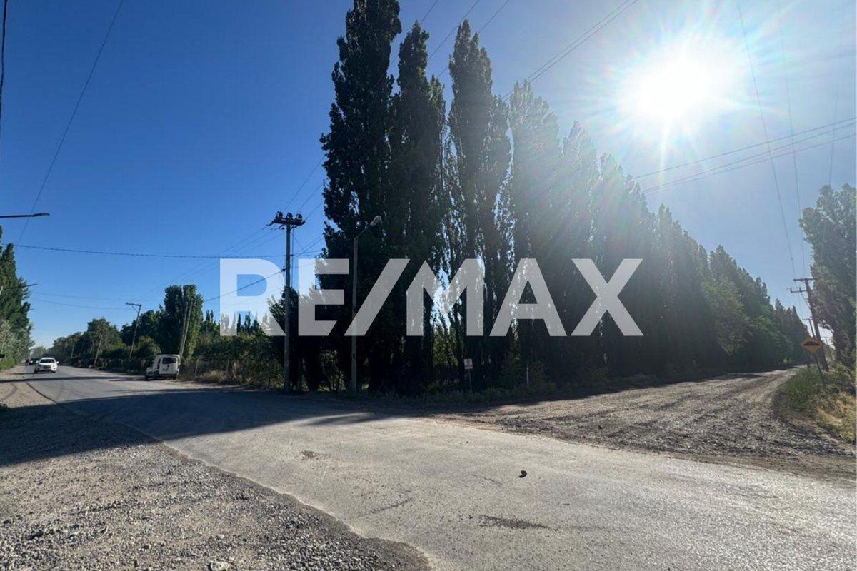 Foto de VENTA LOTE COMERCIAL EN POZO I LOTEO EL PINAR, imagen 2