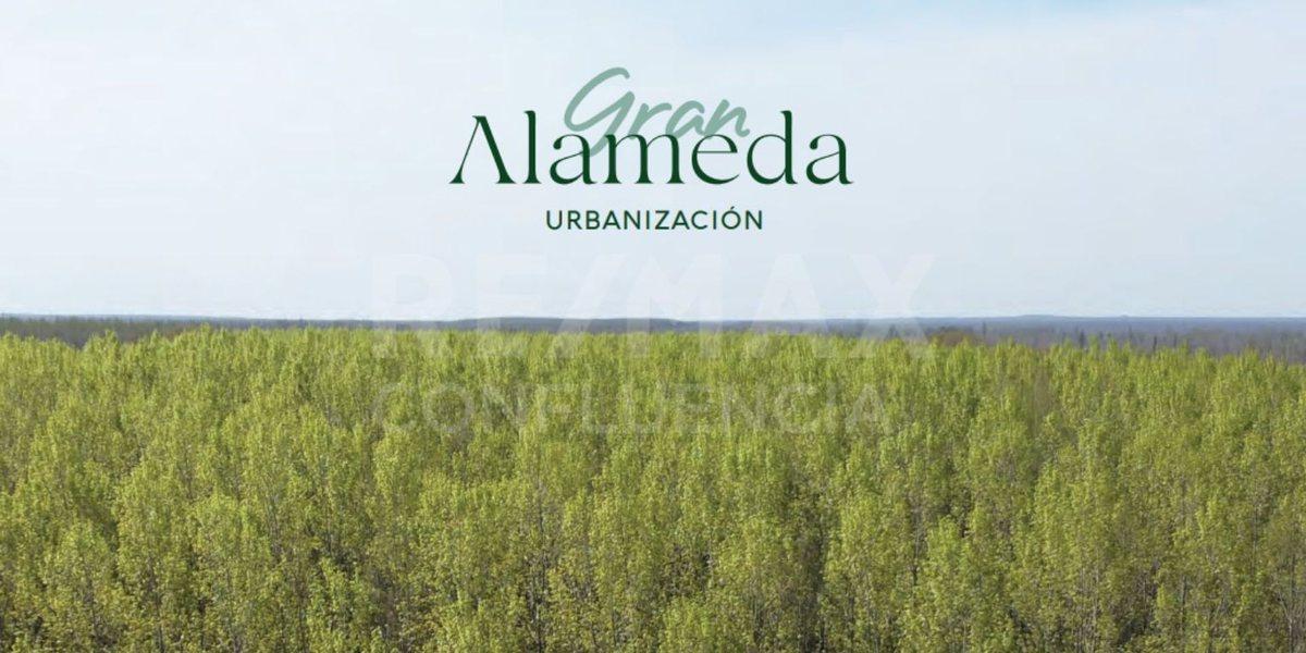 Foto de VENTA LOTE COMERCIAL B° GRAN ALAMEDA CIPOLLETTI, imagen 3