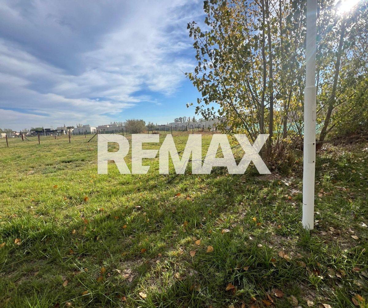 Foto de VENTA TERRENO Bº PRIVADO PLAZA PUEBLO - CIPOLLETTI, imagen 3