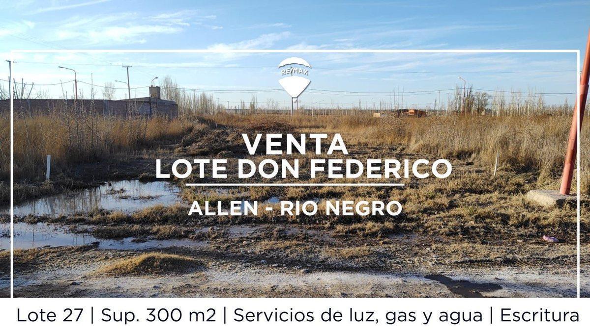 Foto de TERRENO VENTA ALLEN, imagen 1