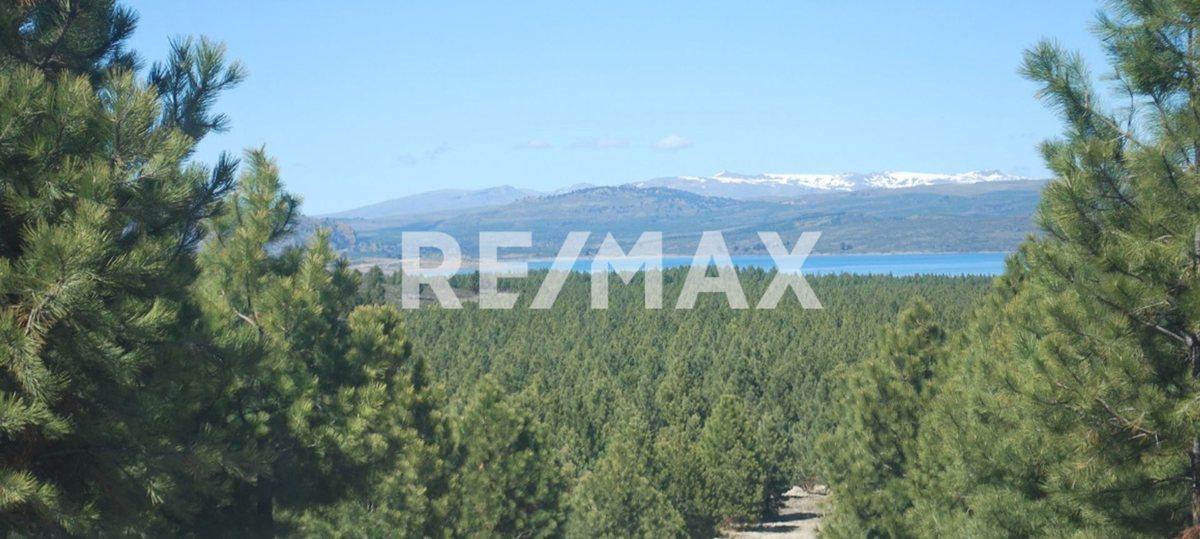 Foto de TERRENO EN VENTA ALTOS DE PEHUENIA, imagen 2