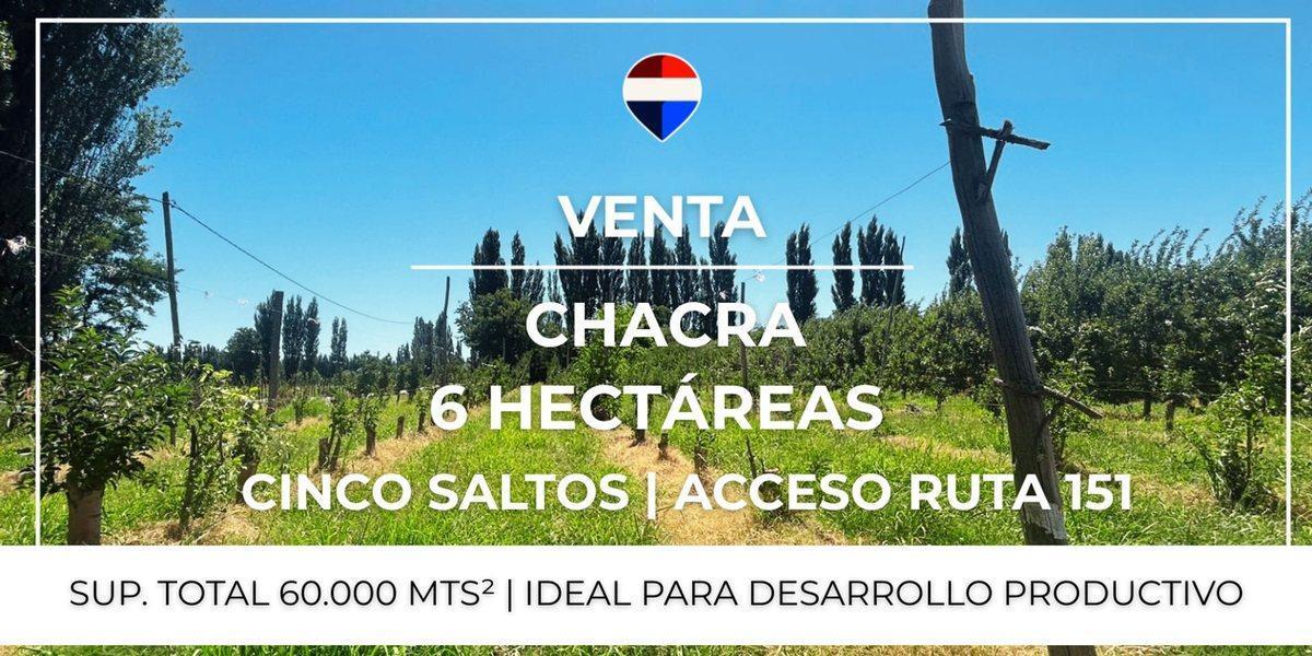 Foto de VENTA CHACRA 6 HAS - CINCO SALTOS, imagen 2