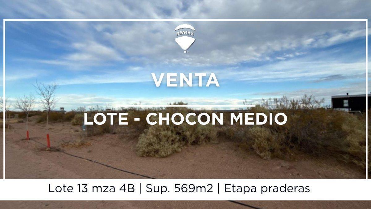 Foto de LOTE EN VENTA CHOCON MEDIO, imagen 3