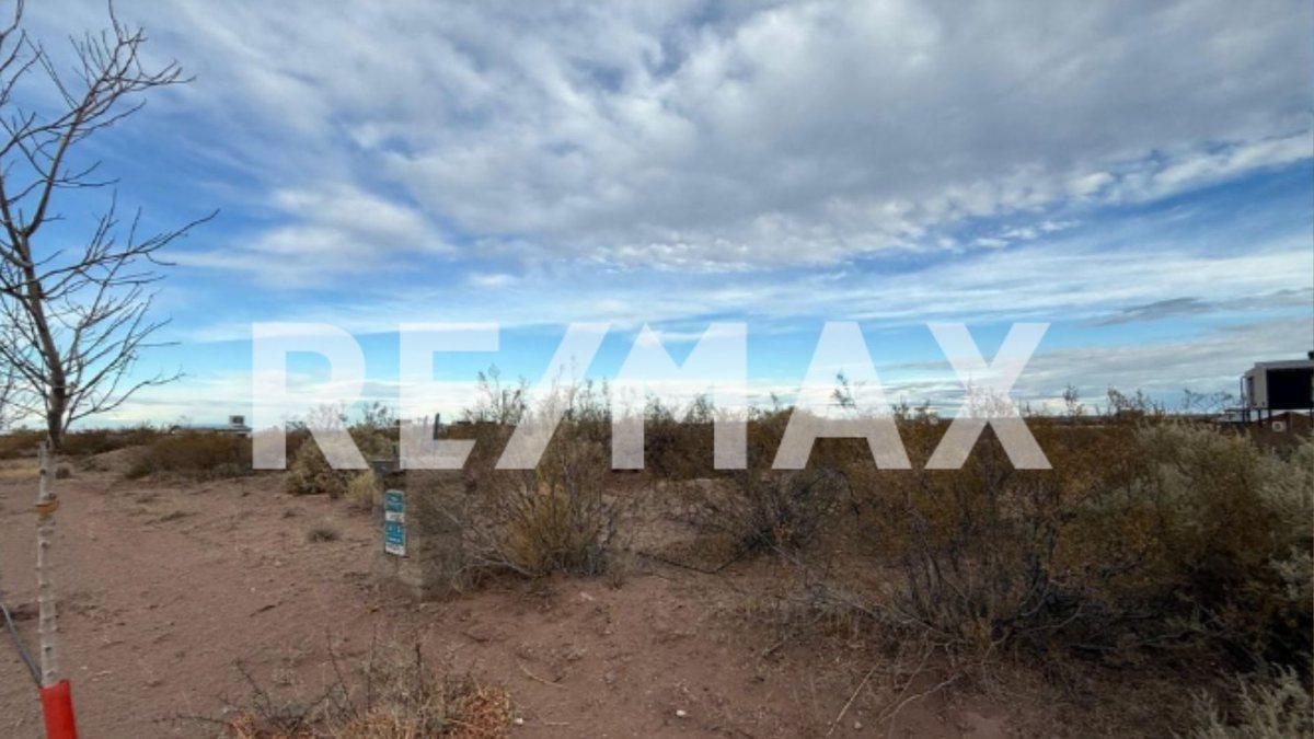 Foto de LOTE EN VENTA CHOCON MEDIO, imagen 1