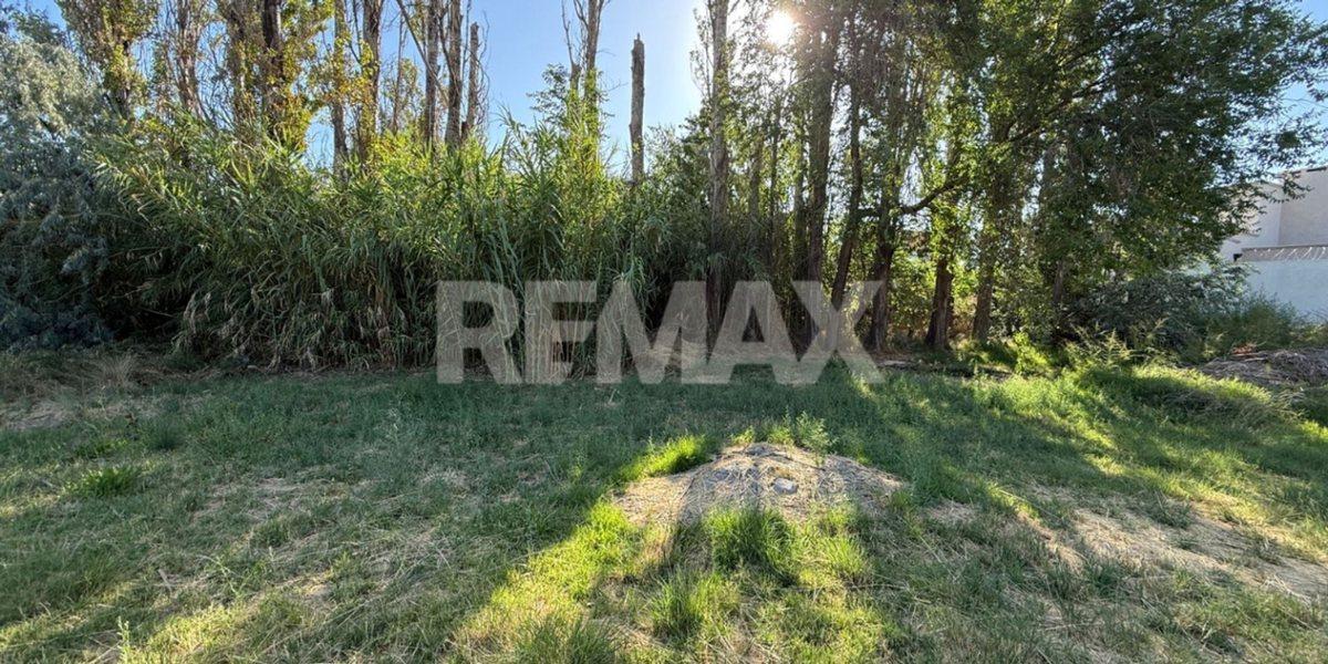 Foto de LOTE EN VENTA BARRIO CAPELLAN CIPOLLETTI, imagen 2