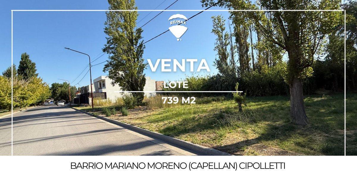 Foto de LOTE EN VENTA BARRIO CAPELLAN CIPOLLETTI, imagen 5