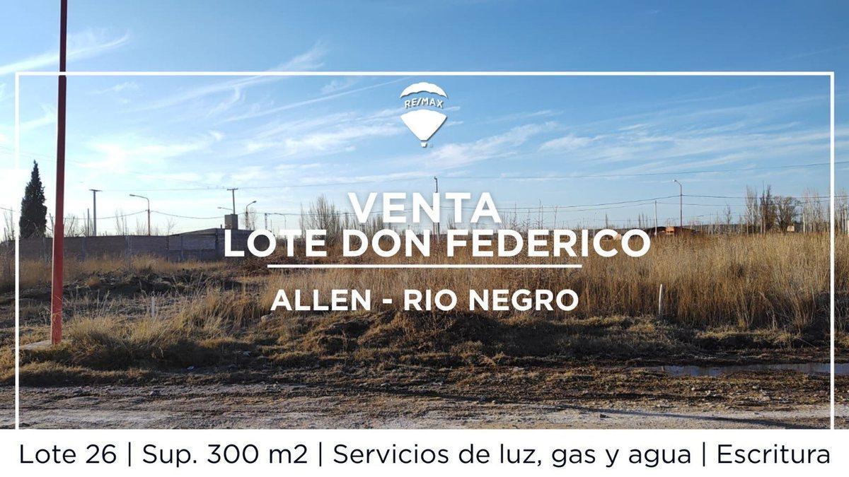 Foto de VENTA TERRENO ALLEN, imagen 1