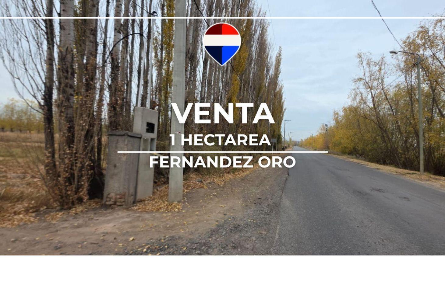 Foto de VENTA CHACRA 1 HECTAREA FERNANDEZ ORO, imagen 4