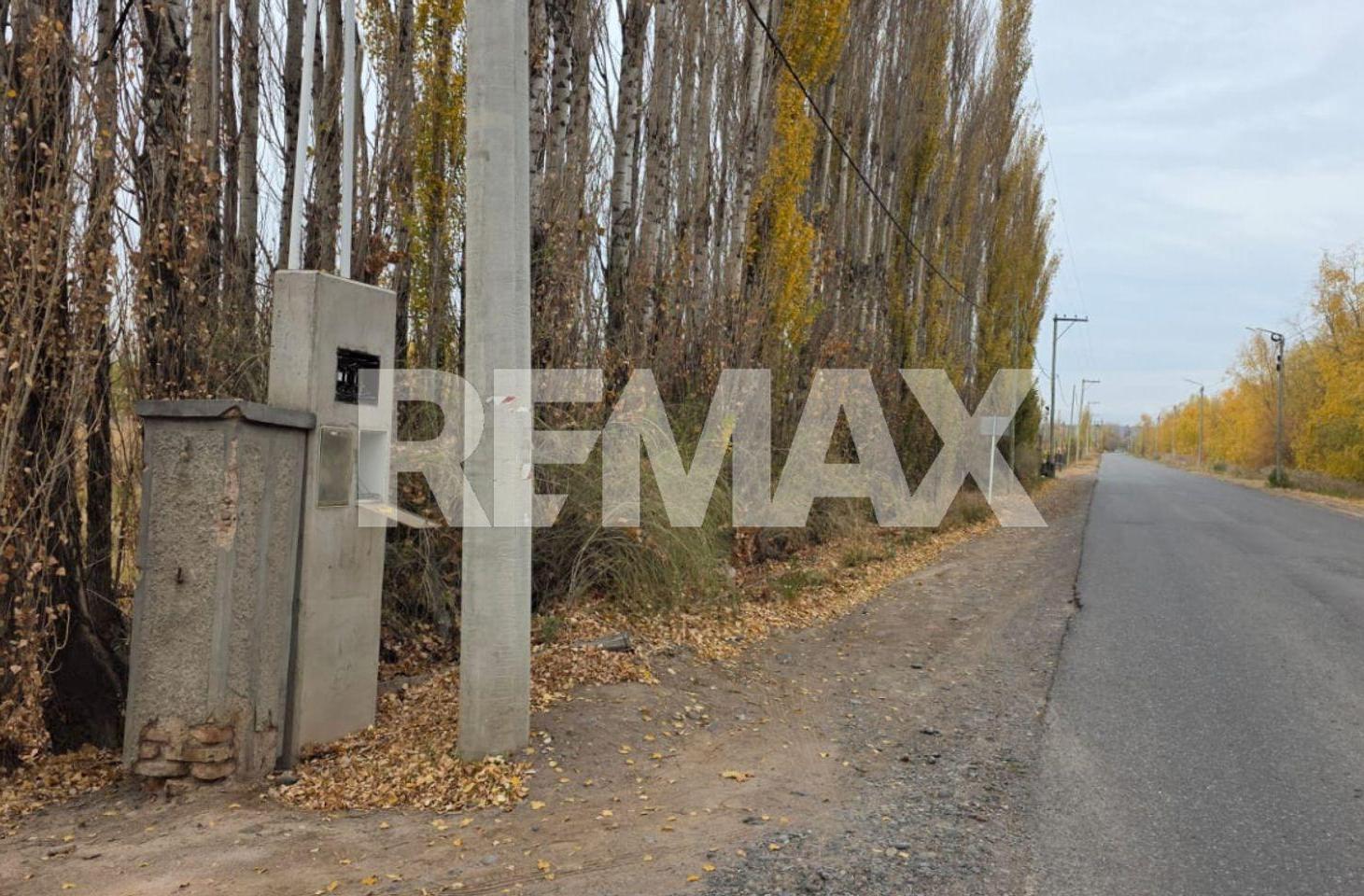 Foto de VENTA CHACRA 1 HECTAREA FERNANDEZ ORO, imagen 3