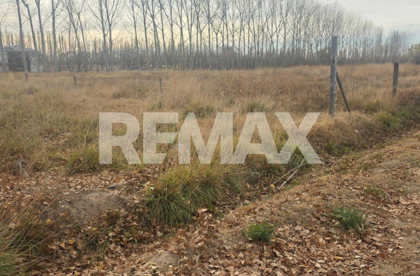 Foto de VENTA CHACRA 1 HECTAREA FERNANDEZ ORO, imagen 2