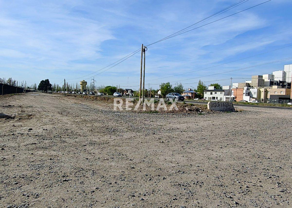 Foto de VENTA DE 1/2 HA A 300 MTS DE RUTA 151- CIPOLLETTI, imagen 3