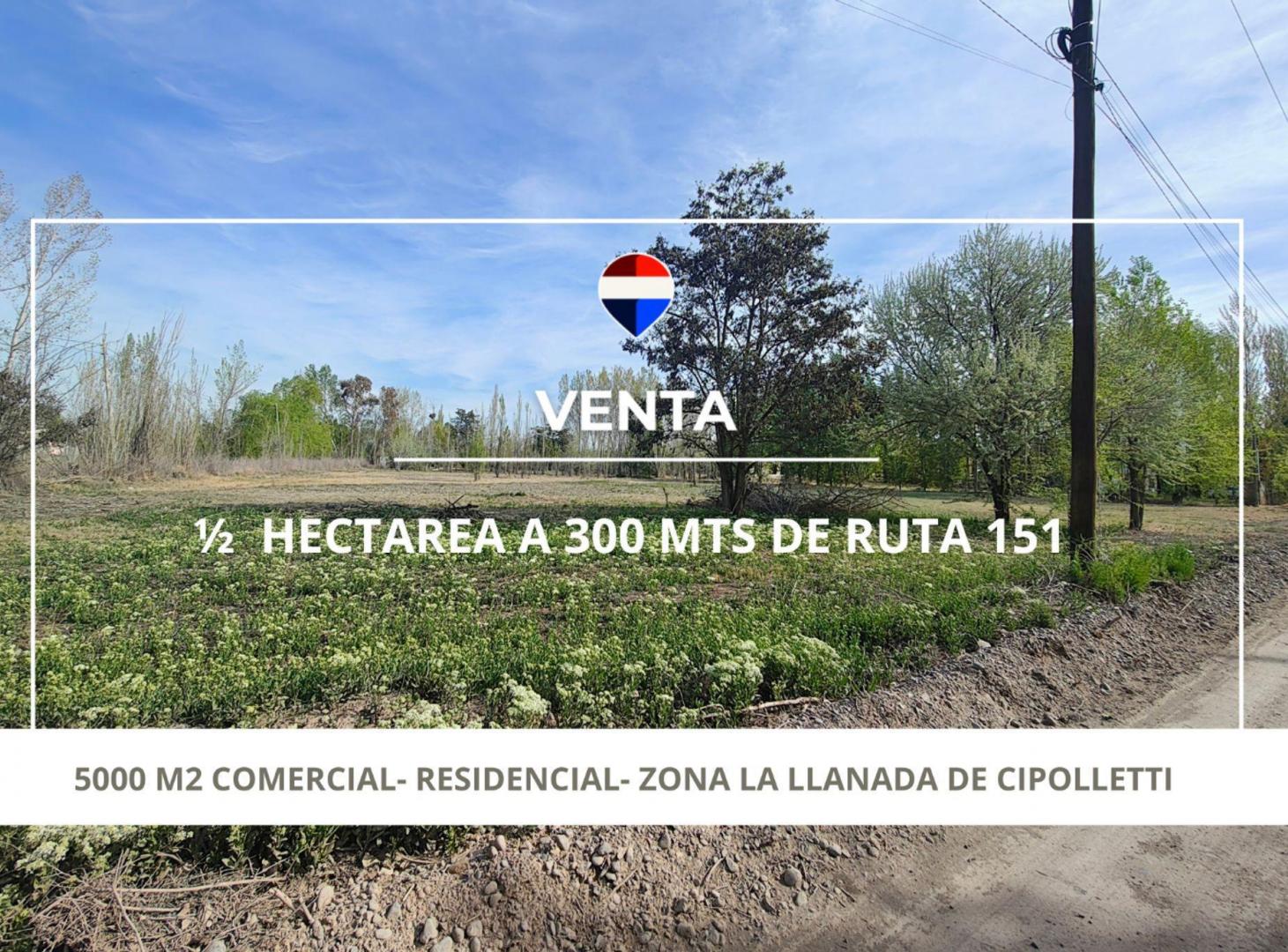 Foto de VENTA DE 1/2 HA A 300 MTS DE RUTA 151- CIPOLLETTI, imagen 2
